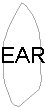 Pattern for Reindeer Ear