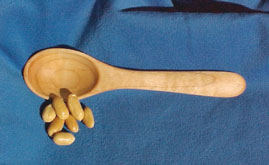 7 inch Salsa Spoon