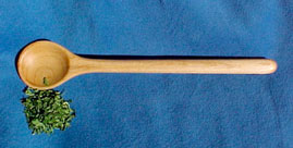 9 inch Mustard Spoon