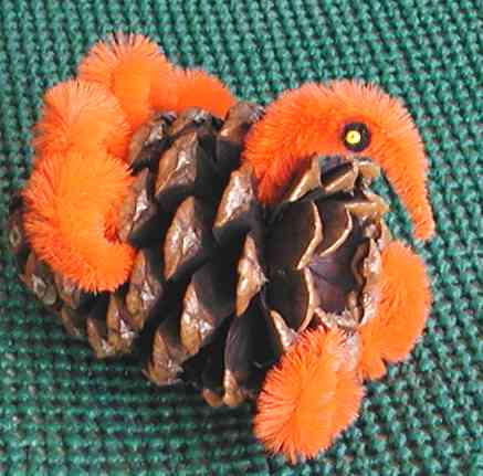 Pinecone Turkey