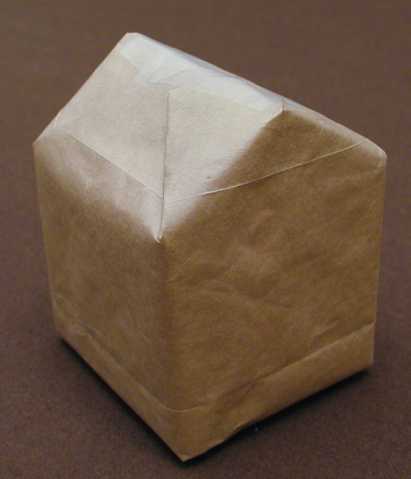 Wraped Milk Carton